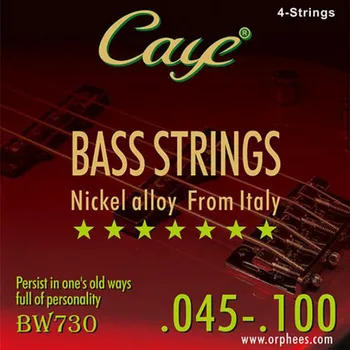 CAYE Electric Bass Stringid 4/5/6tk String Näidik .045-100 .040-125 .030-125 Nikli Sulamist Keritud Traat Bass Kitarr String